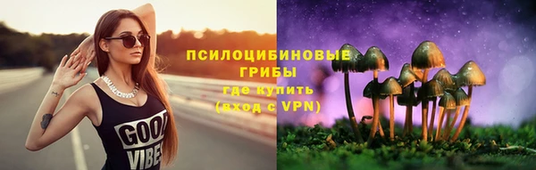 прущие грибы Переславль-Залесский